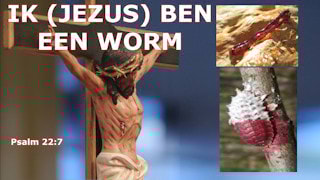 Wat betekent het dat Jezus een worm is, Psalm 22:6?