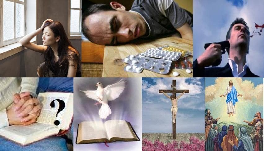 FAQ Veelgestelde vragen